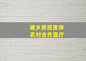 城乡居民医保 农村合作医疗